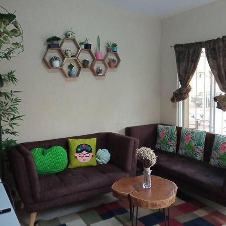 Apartmán La Casa Del Pinito Sonsonate Exteriér fotografie