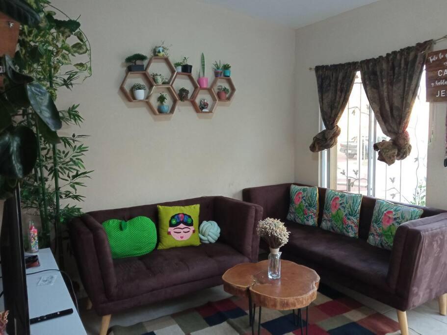 Apartmán La Casa Del Pinito Sonsonate Exteriér fotografie