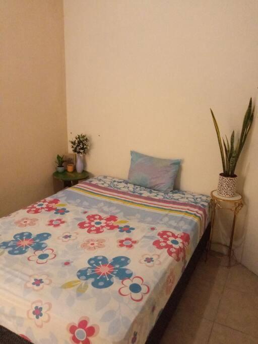 Apartmán La Casa Del Pinito Sonsonate Exteriér fotografie