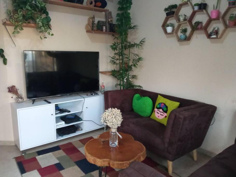 Apartmán La Casa Del Pinito Sonsonate Exteriér fotografie